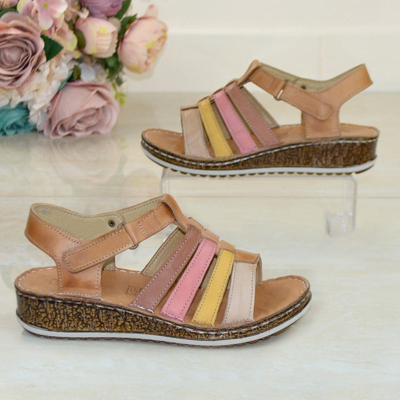 DB1362 CAMEL NR.36