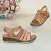 DB1362 CAMEL NR.36