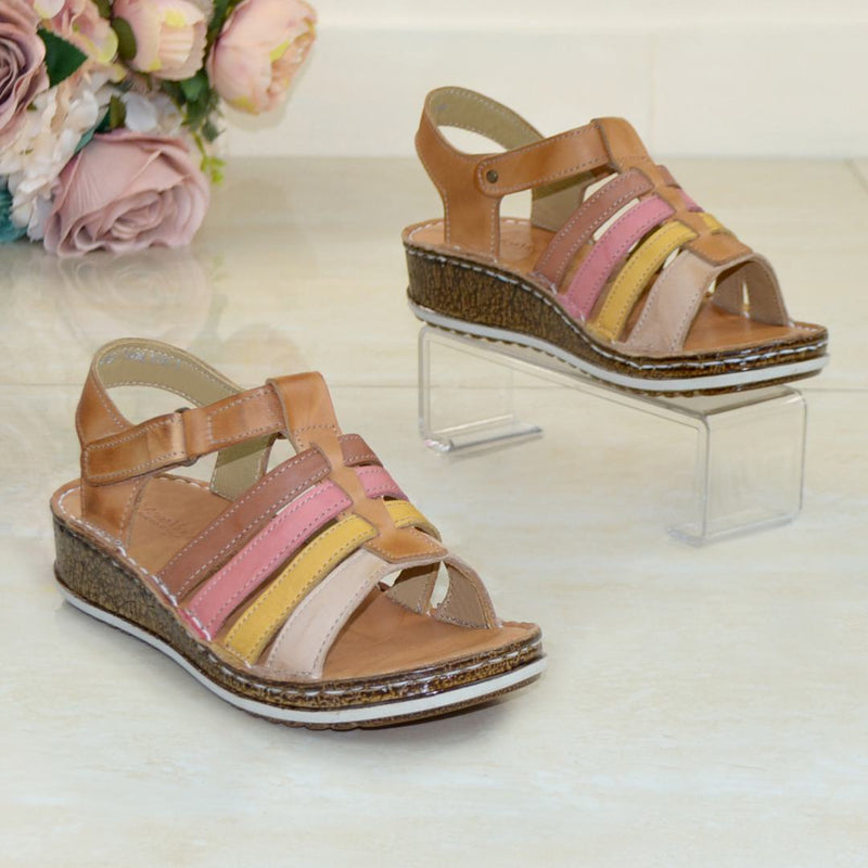 DB1362 CAMEL NR.36
